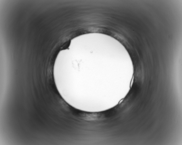 X0000086250473200704261939