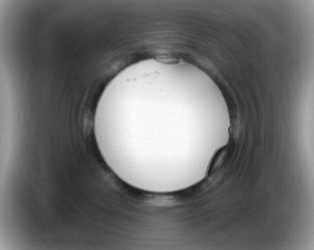 X0000086250476200704261939