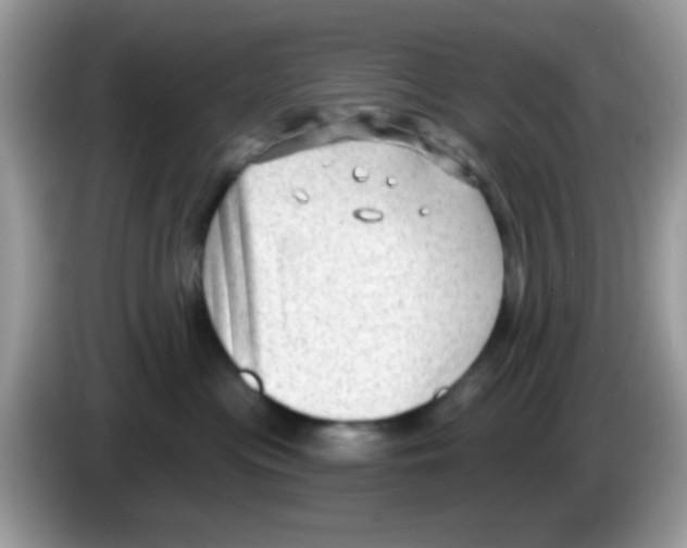 X0000086250477200704261939
