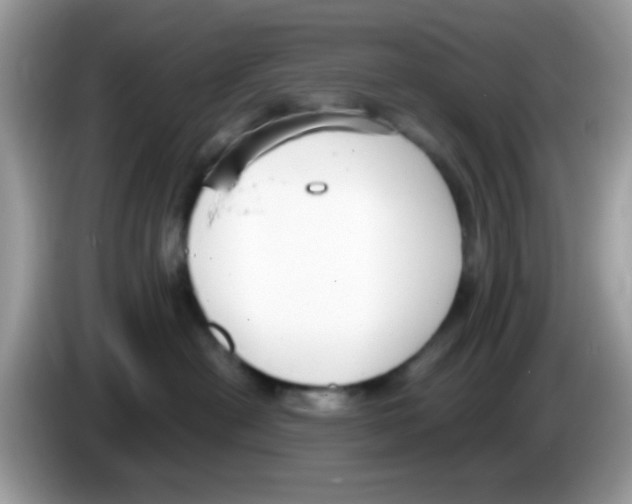 X0000086250478200704261939