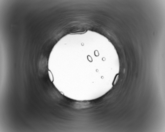 X0000086250480200704261939