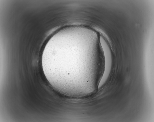X0000086250483200704261939