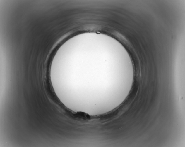 X0000086250484200704261939