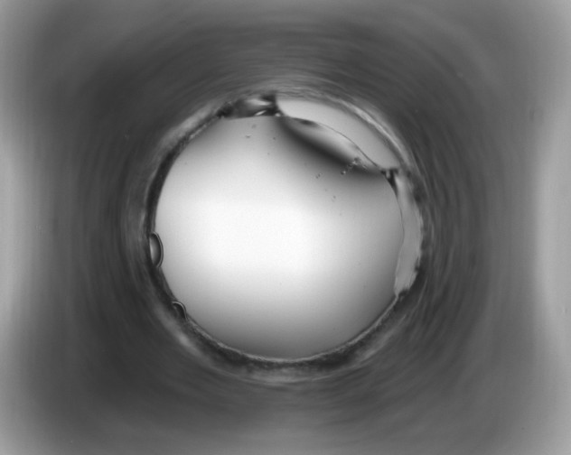 X0000086250485200704261939