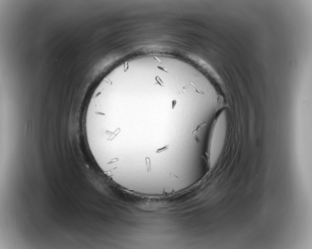 X0000086250487200704261939