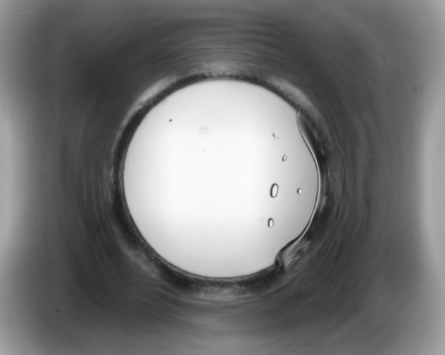 X0000086250488200704261939