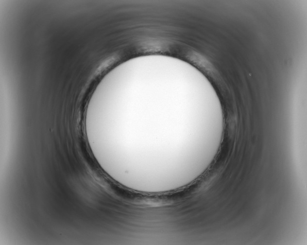 X0000086250490200704261939