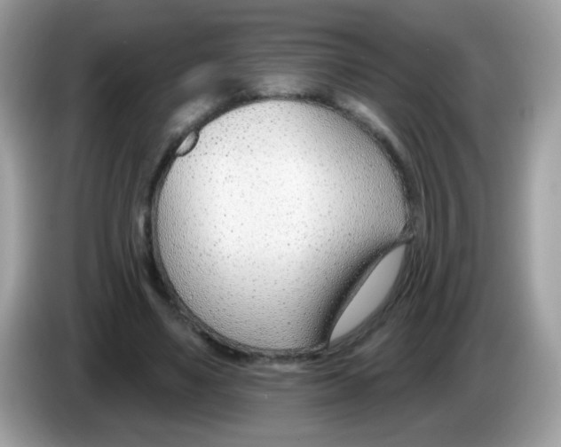 X0000086250491200704261939