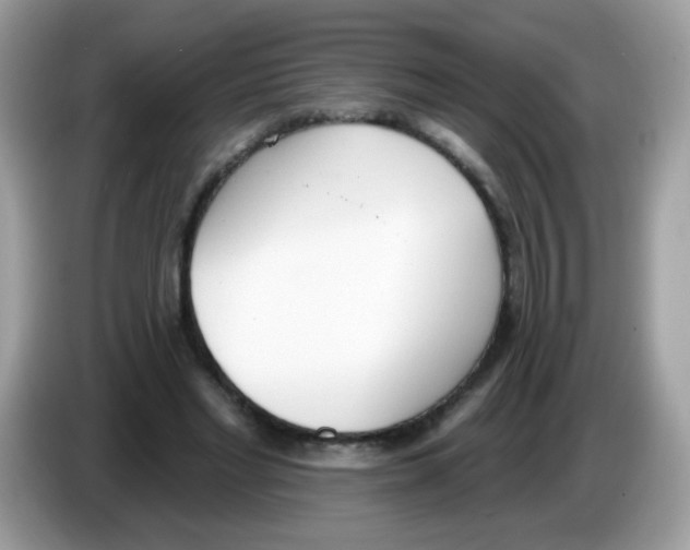 X0000086250493200704261939