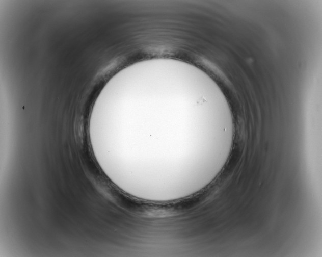 X0000086250494200704261939