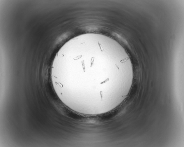 X0000086250495200704261939