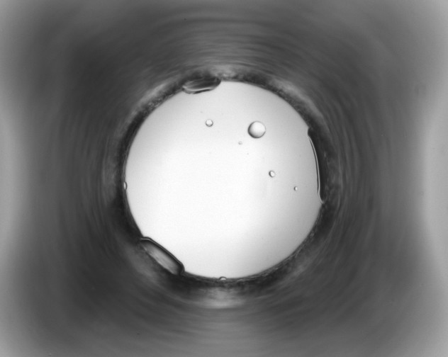 X0000086250496200704261939