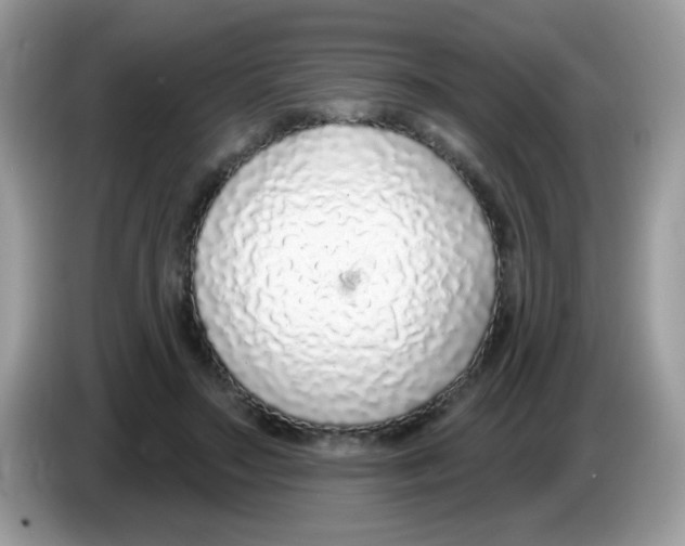 X0000086250499200704261939