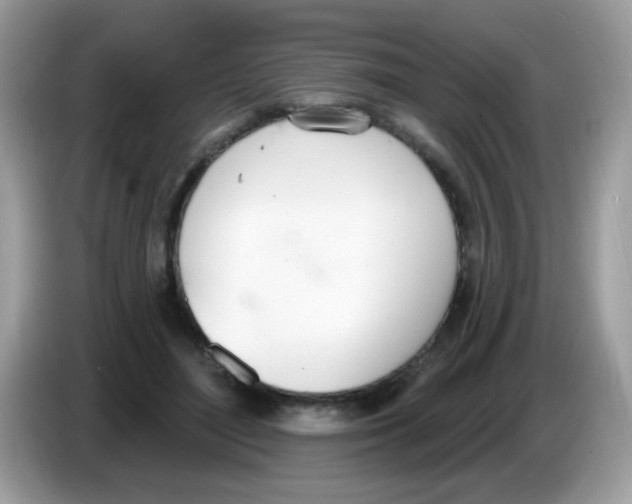 X0000086250500200704261939