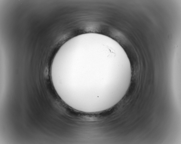 X0000086250502200704261939