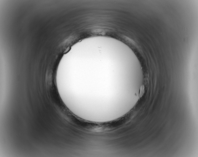 X0000086250504200704261938