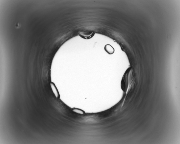 X0000086250505200704261938