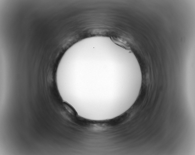 X0000086250508200704261938