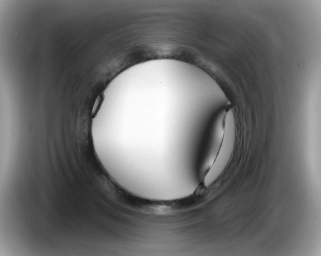 X0000086250509200704261938