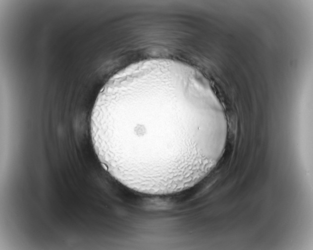 X0000086250511200704261938