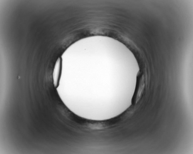 X0000086250513200704261938