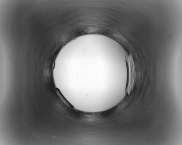 X0000086250516200704261938