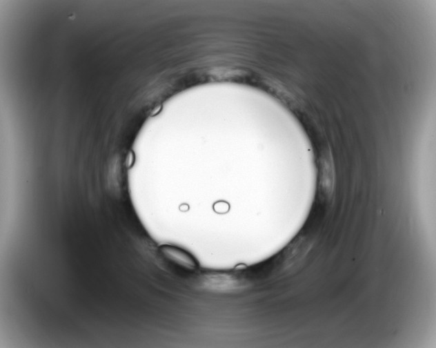 X0000086250519200704261938