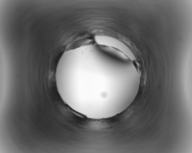 X0000086250521200704261938
