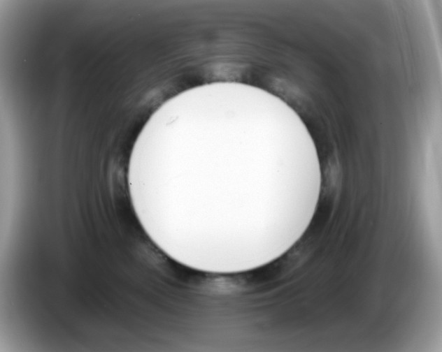 X0000086250522200704261938