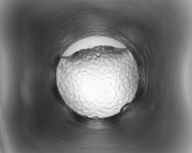 X0000086250523200704261938