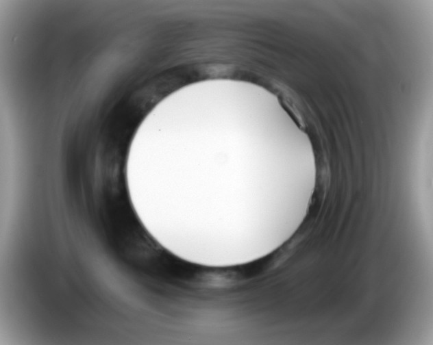 X0000086250525200704261938