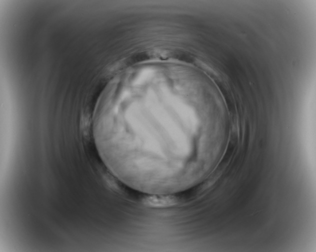 X0000086250526200704261938
