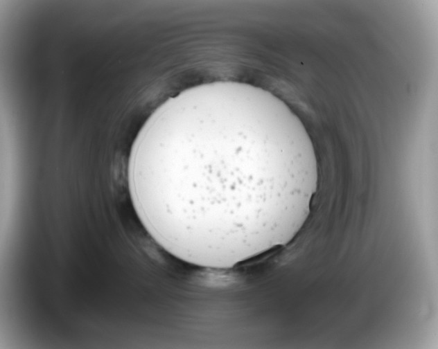 X0000086250528200704261938