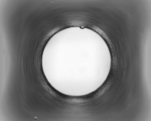 X0000086250529200704261938