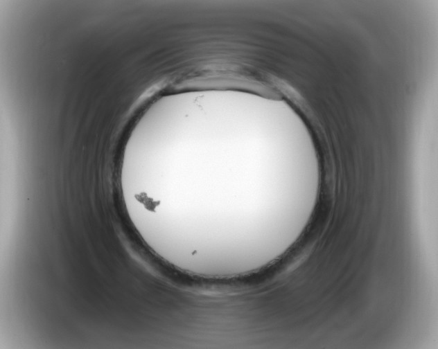 X0000086250530200704261938