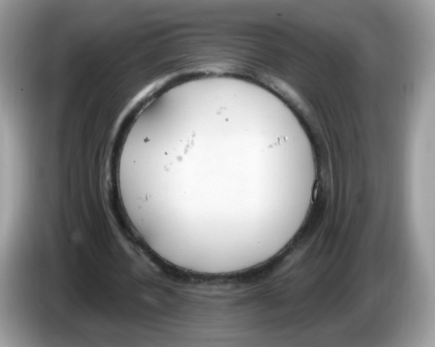 X0000086250532200704261938