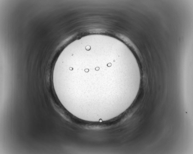 X0000086250533200704261938
