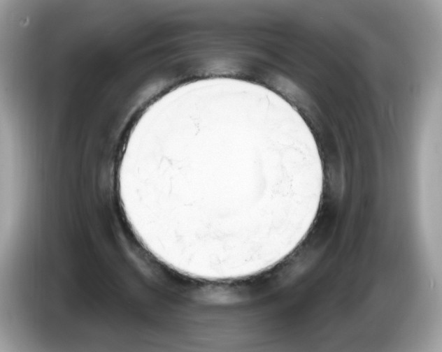 X0000086250534200704261938