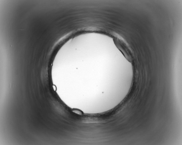 X0000086250535200704261938