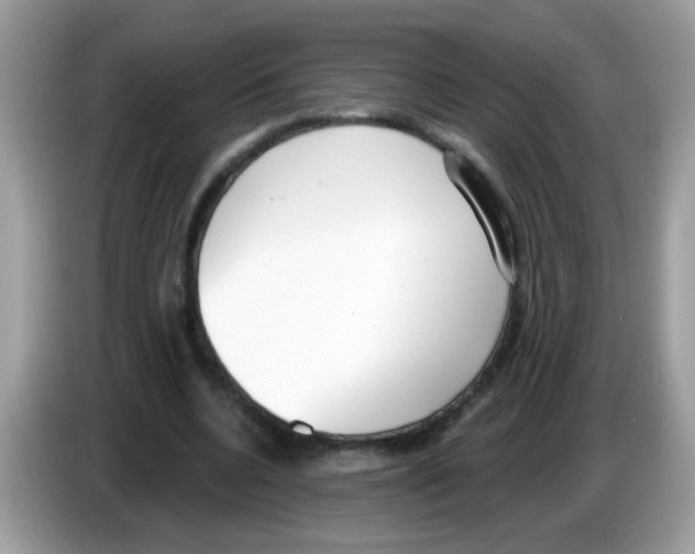 X0000086250536200704261938