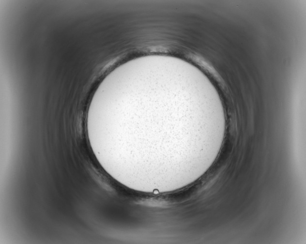 X0000086250537200704261938
