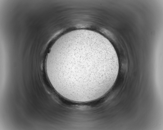 X0000086250539200704261938