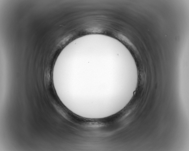 X0000086250541200704261938