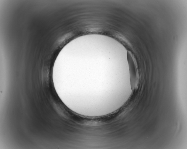 X0000086250542200704261938