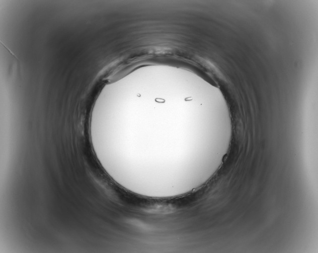 X0000086250543200704261938