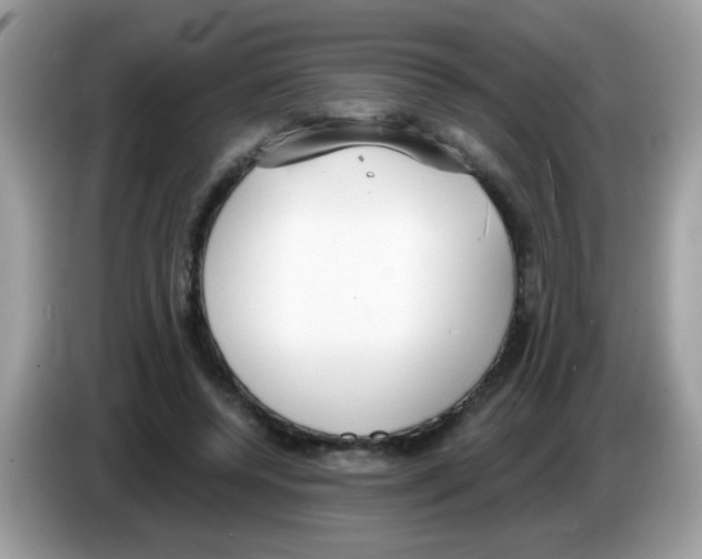 X0000086250544200704261938