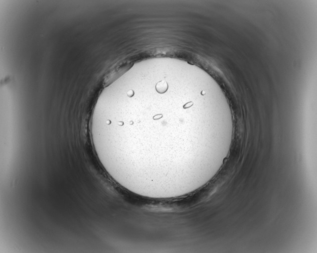 X0000086250545200704261938