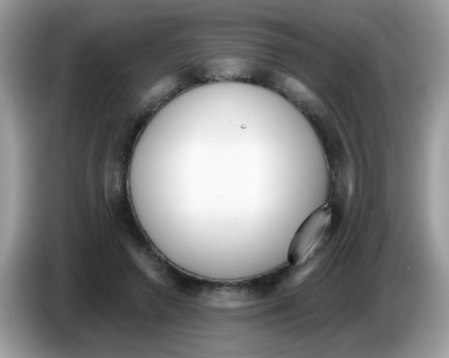 X0000086250546200704261938