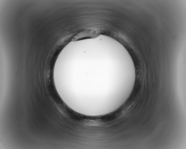 X0000086250548200704261938