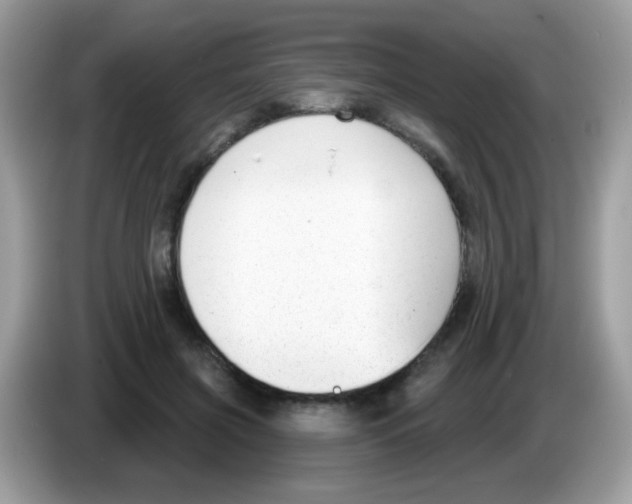 X0000086250549200704261938